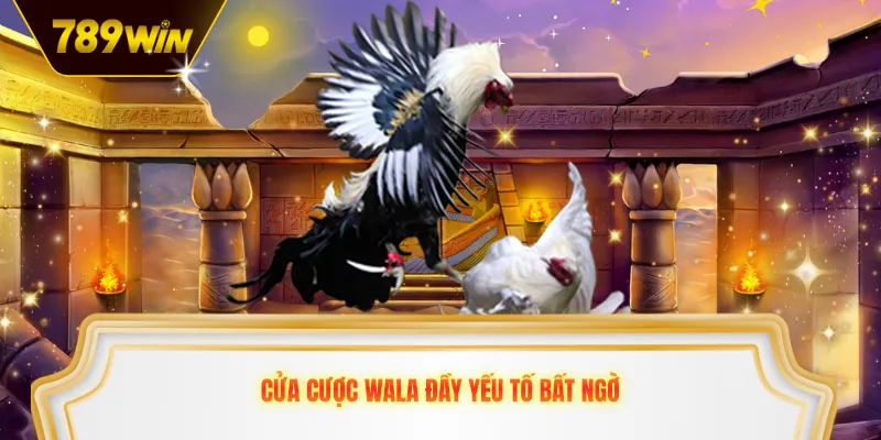 Cửa cược wala đầy yếu tố bất ngờ 