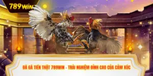 Đá gà tiền thật 789win