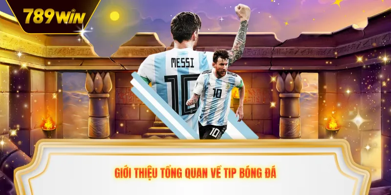 Giới thiệu tổng quan về tip bóng đá 789WIN