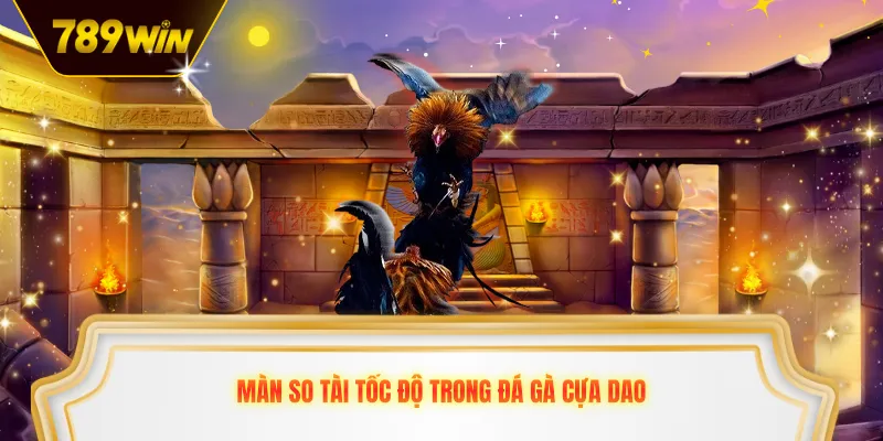 Màn so tài tốc độ trong đá gà cựa dao
