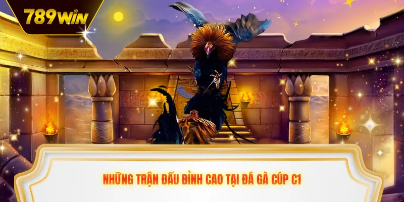 Những trận đấu đỉnh cao tại đá gà Cúp C1