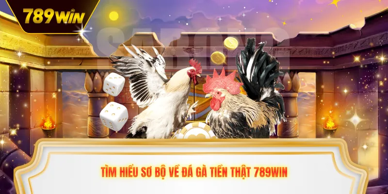 Tìm hiểu sơ bộ về đá gà tiền thật 789win