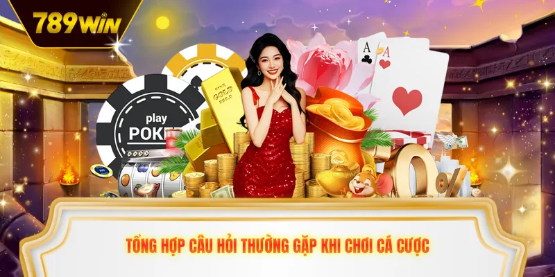 Tổng hợp câu hỏi thường gặp khi chơi cá cược