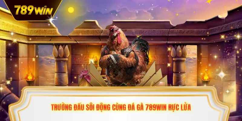 Trường đấu sôi động cùng đá gà 789win rực lửa